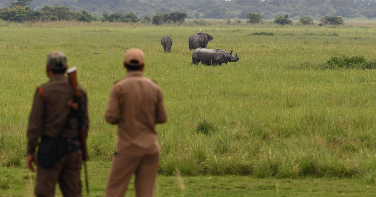 National Green Tribunal Halts Assam's Forest Officers' Deployment for Election Duties
