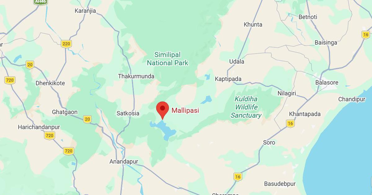 Odisha Man Exhumes Sister's Remains to Withdraw Savings from Bank