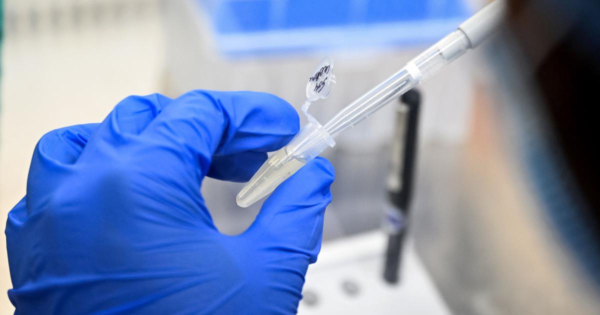 The Complex Battle Against Dengue: Why Vaccination Alone Isn't Enough