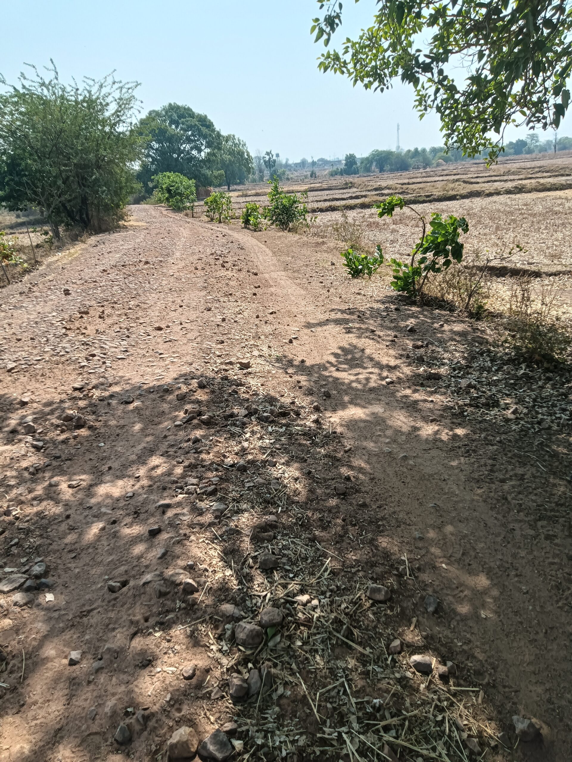 कुळेनांदगाव वासीय पक्का रस्ता बनन्याच्या प्रतीक्षेतच... शासनाचे दुर्लक्ष.