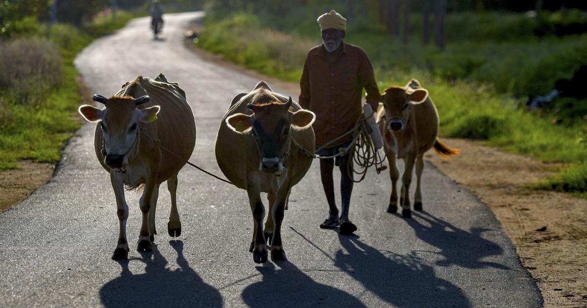 CPI (M-L) Challenges West Bengal's Restrictions on Animal Sacrifice in Calcutta High Court
