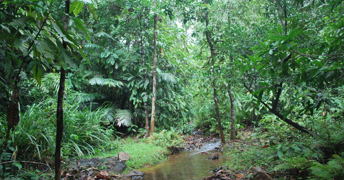 Maharashtra's Vadhavan Port Project Receives Green Light as 237 Hectares of Forest Land Approved for Development